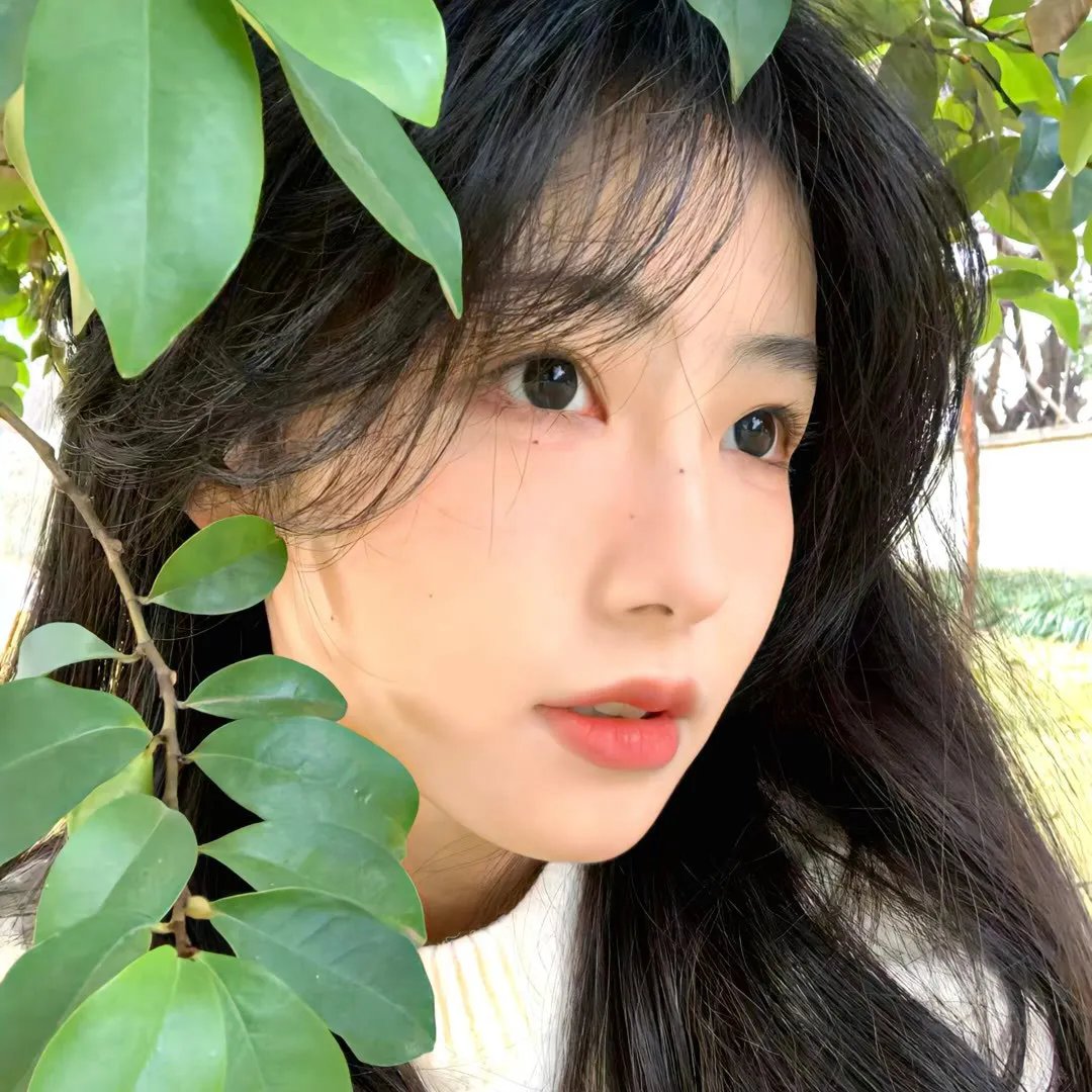 四条生命